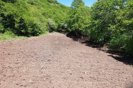 იყიდება მიწის ნაკვეთი, სასოფლო - სამეურნეო, ტაბარუკი