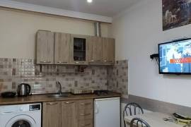 Daily Apartment Rent, 2 Room, New building, Borjomi , Bakuriani