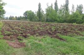 იყიდება მიწის ნაკვეთი, სასოფლო - სამეურნეო, მარტყოფი