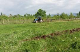 იყიდება მიწის ნაკვეთი, სასოფლო - სამეურნეო, მარტყოფი