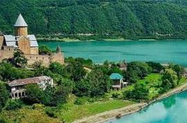 Land For Sale, Ananuri
