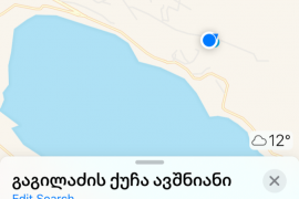 Land For Sale, Agricultural, Tbilisi sea