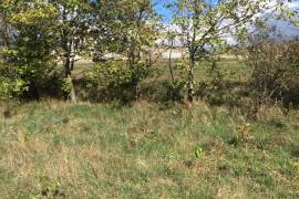 Land For Sale, Agricultural, Tbilisi sea