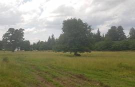 Land For Sale, Bakuriani