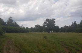 Land For Sale, Bakuriani