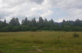 Land For Sale, Bakuriani