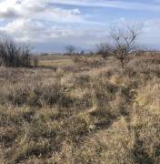 Land For Sale, Tsinamdzghvriantkari