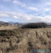 Land For Sale, Tsinamdzghvriantkari