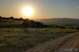 Land For Sale, Saguramo