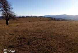 Land For Sale, Orbeti 