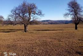 Land For Sale, Orbeti 