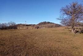 Land For Sale, Orbeti 