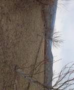 Land For Sale, Mukhrani