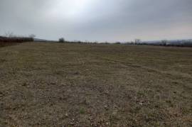 Land For Sale, Mukhrani