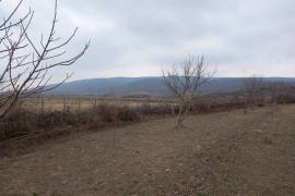 იყიდება მიწის ნაკვეთი, სასოფლო - სამეურნეო, მუხრანი
