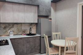 Daily Apartment Rent, New building, saburtalo