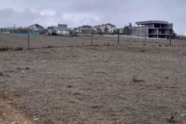 Land For Sale, Krtsanisi