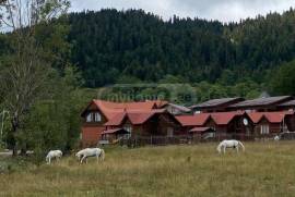 ქირავდება სახლი, 3 ოთახიანი, ბორჯომი, ბაკურიანი