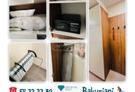 ქირავდება ბინა დღიურად, 1 ოთახიანი, ახალი აშენებული, ბორჯომი, ბაკურიანი