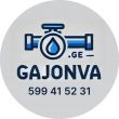 წყლის გაჟონვა